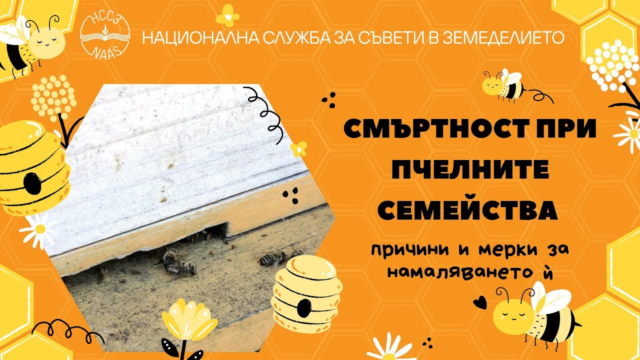Зооинж. М. Михайлов: Смъртност при пчелните семейства. Причини и мерки за намаляването ѝ