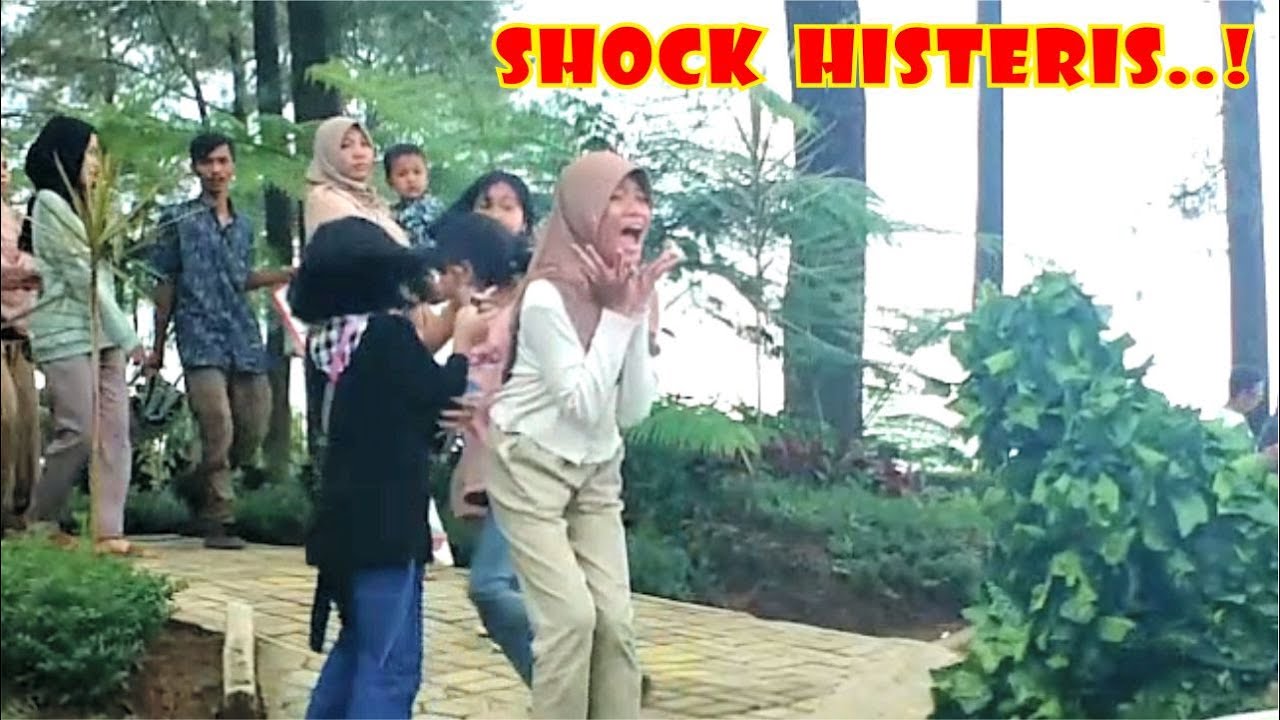 Ekspresi lucu gadis kecil || Bushman prank || Prank manusia pohon