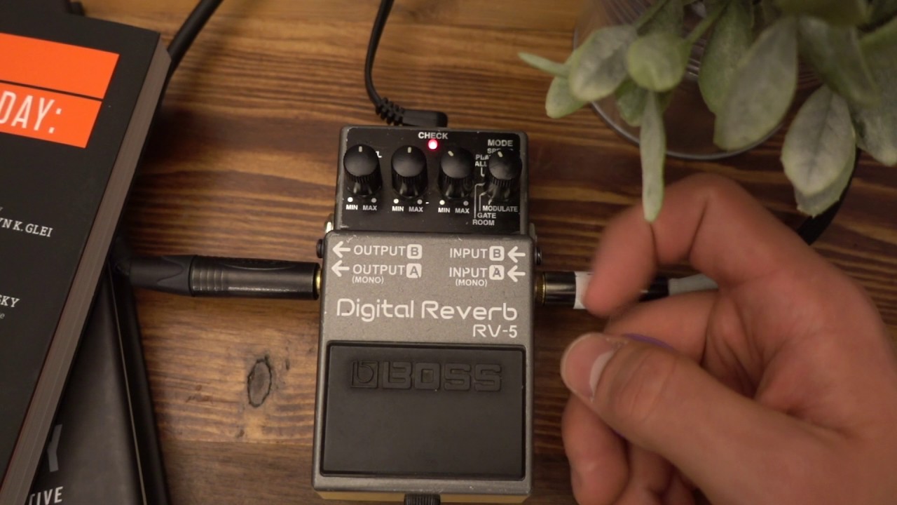 Boss RV-5 Reverb Demo