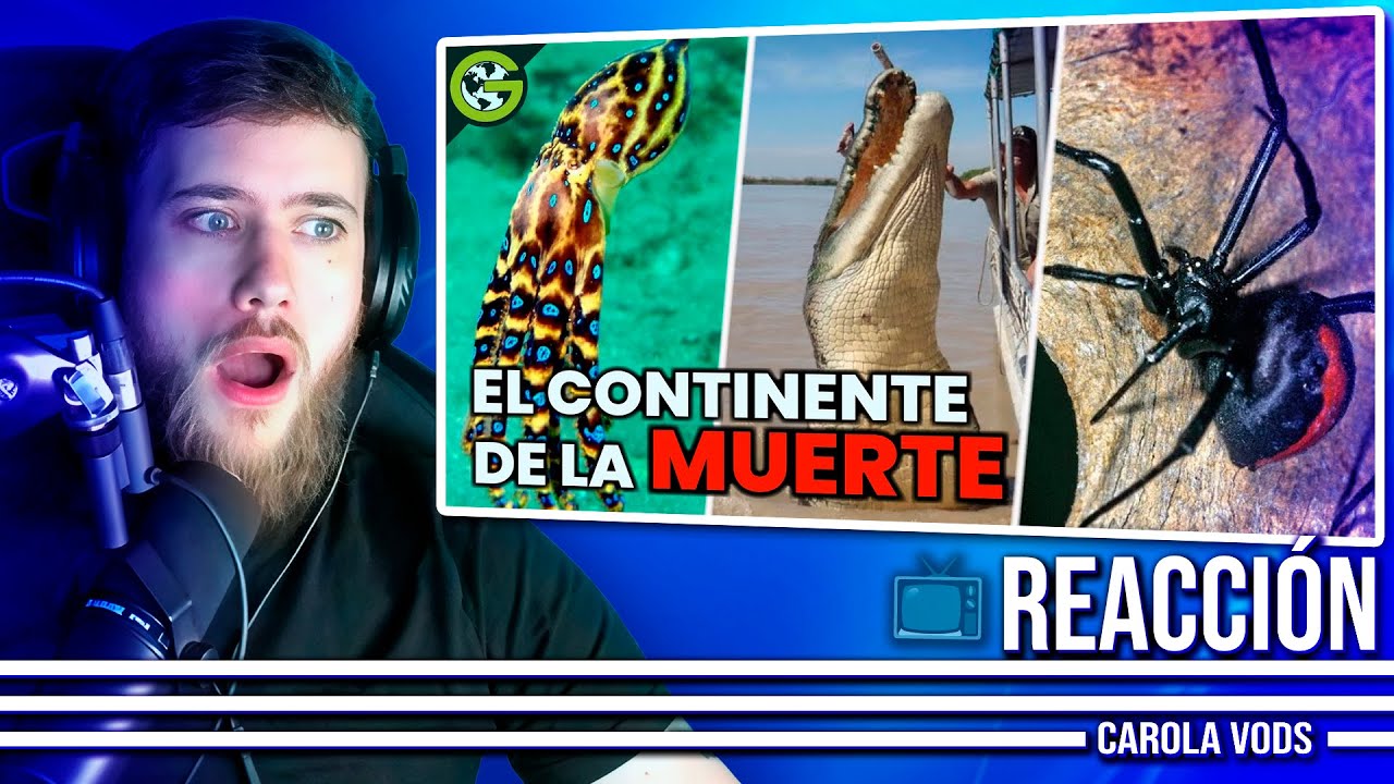 Los Animales más Peligrosos de Australia + Insectos Peligrosos 📺 Reacción Carola
