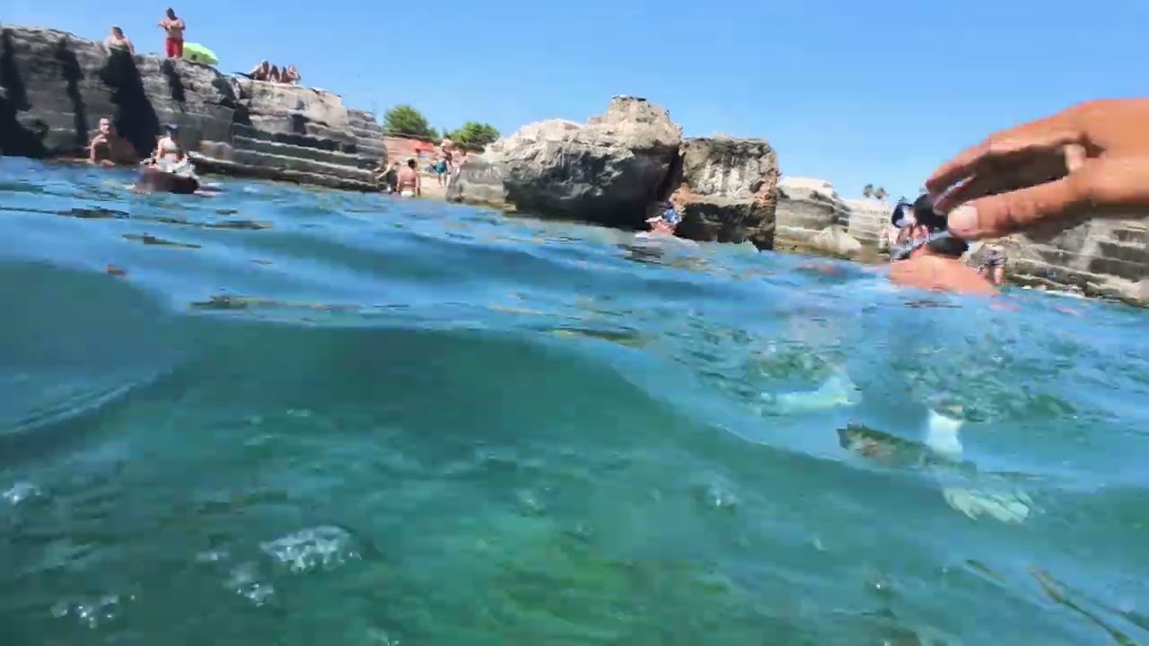 Torrecintola 