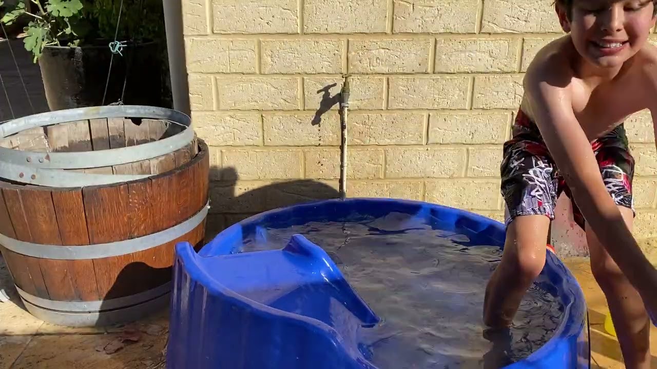 How to give a dog a bath