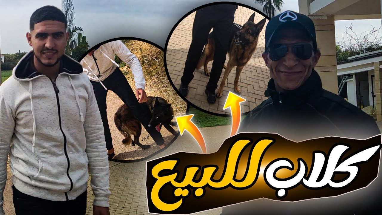 زيارة لأحد مواليع بارجي ألمو و مالينوا في بوزنيقة عند رشيد