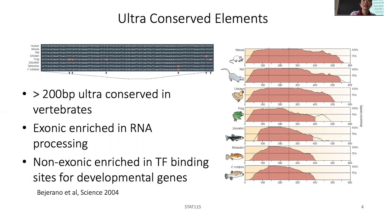 STAT115 Chapter 11.1 ChIP-seq