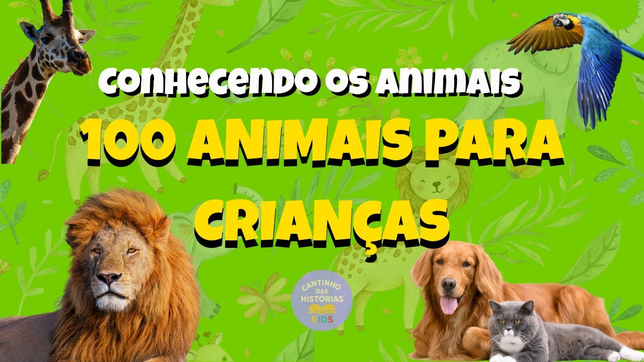 100 ANIMAIS EXTRAORDINÁRIOS para Crianças – Conheça os animais com Vídeos e Som Reais