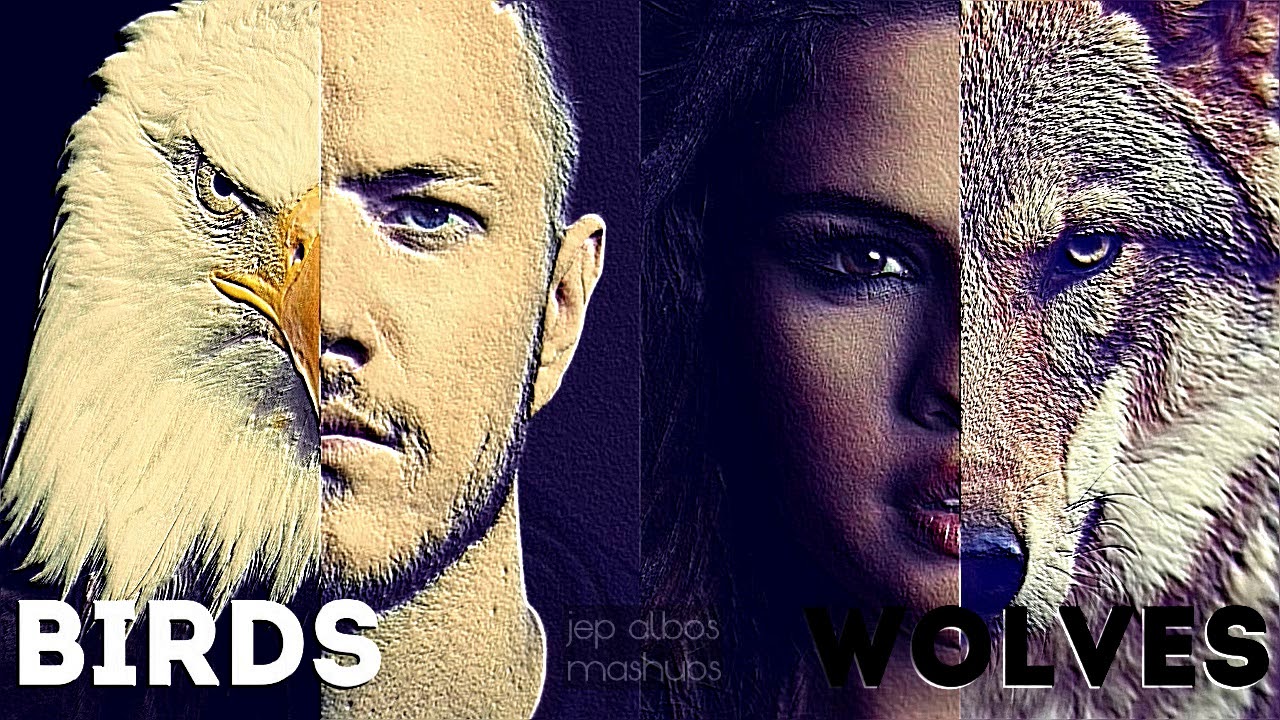 Imagine Dragons ft. Selena Gomez - Birds and Wolves (MASHUP)