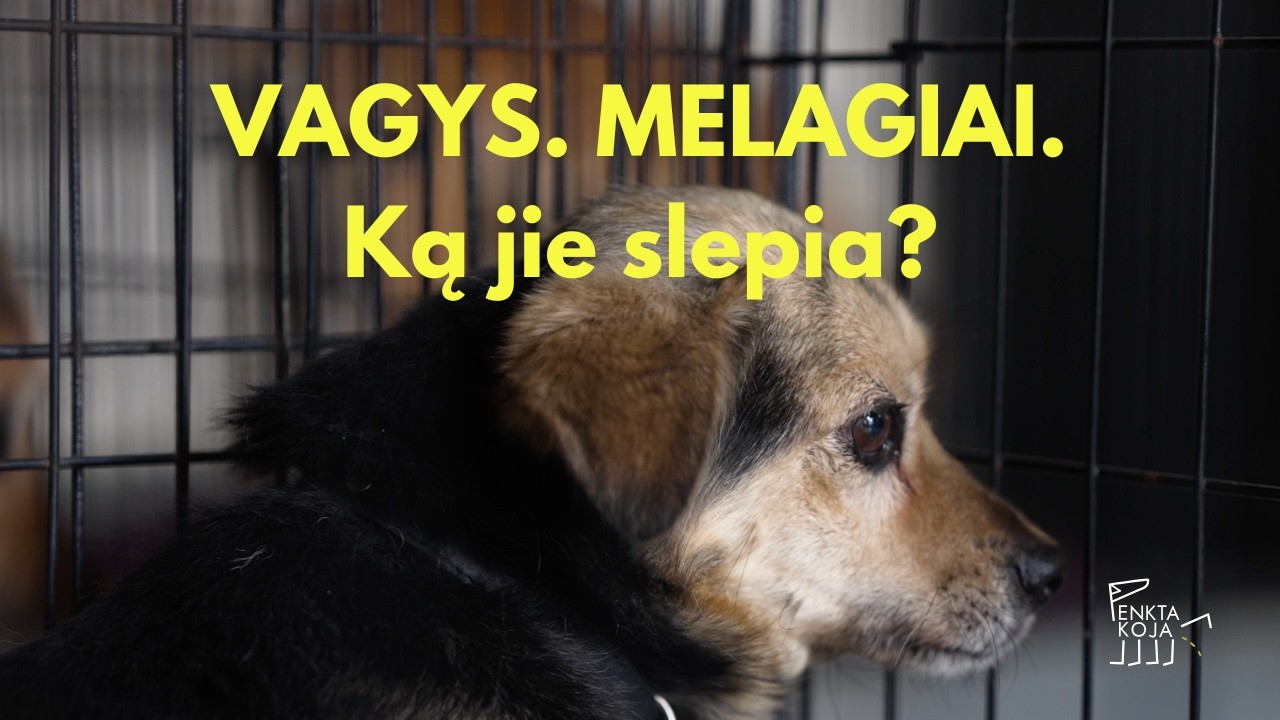 Ką slepia Penkta Koja?