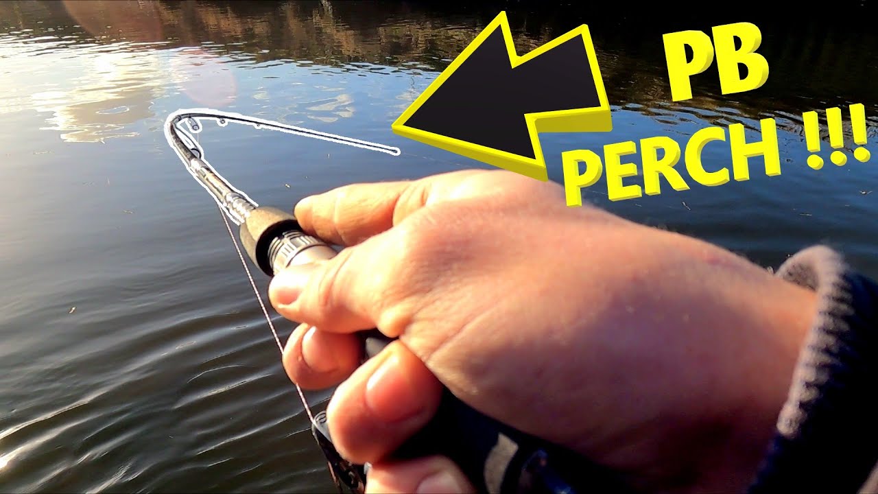 PB Perch!!! | Light Fishing For Perch And Pike | Keitech Swing Impact