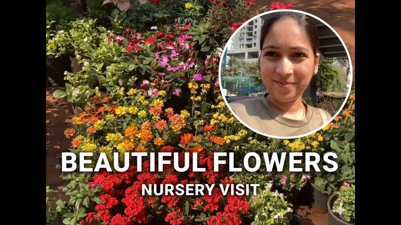Beautiful Flowers 🌸 | Nursery Visit Vlog | Marathi |  #flowers #vlog