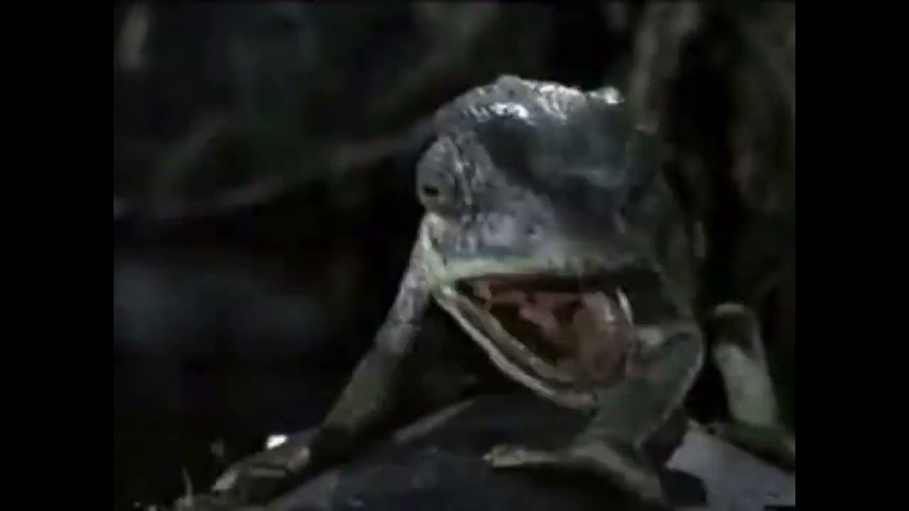 Budweiser Beer Frog and Lizard Commercial 10