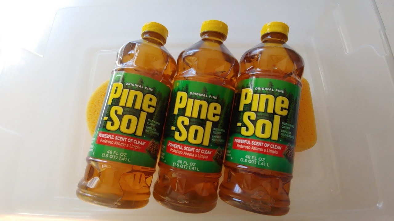 PINE SOL FAVORITE SCENT | Steamy Pine Rinse
