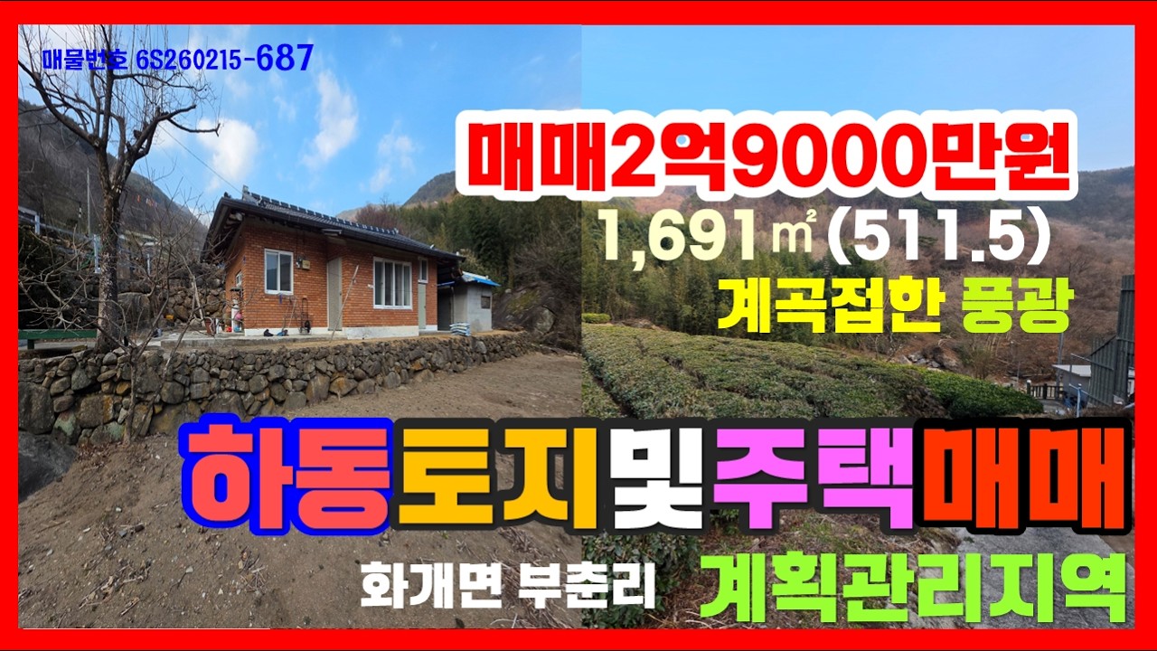 687하동전원주택 화개 부춘리 촌집과 녹차밭 머금은 토지까지 함께 몽땅 드립니다_진주부동산여왕  채널