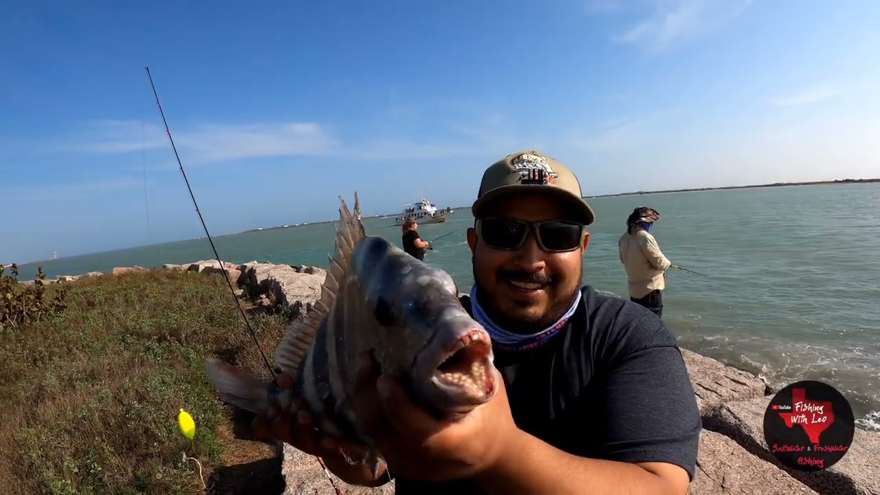 Spi jetties sheepshead fishing 