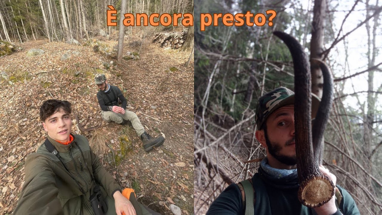 PALCHI DI CERVO - In cerca di tracce