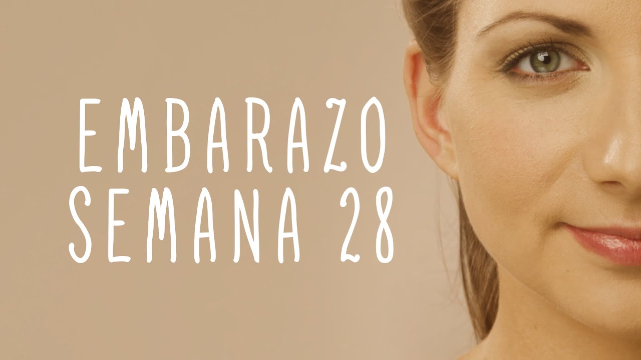 Calendario De Embarazo - Semana 28