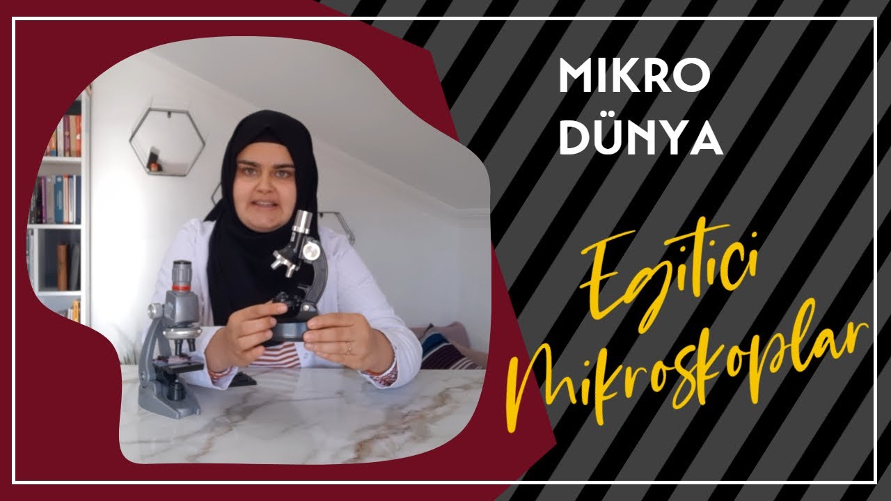 Eğitici Mikroskoplar | Mikro Dünya