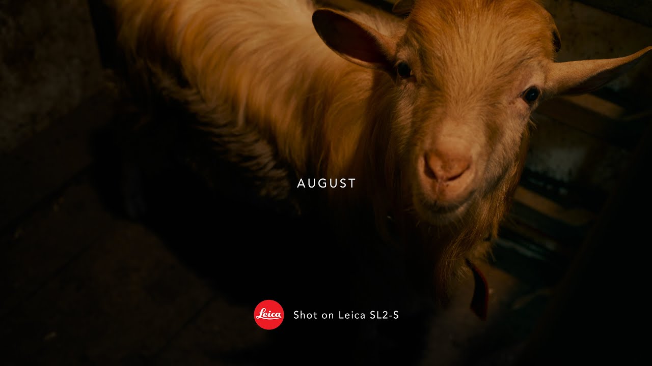 August - Shot on Leica SL2S