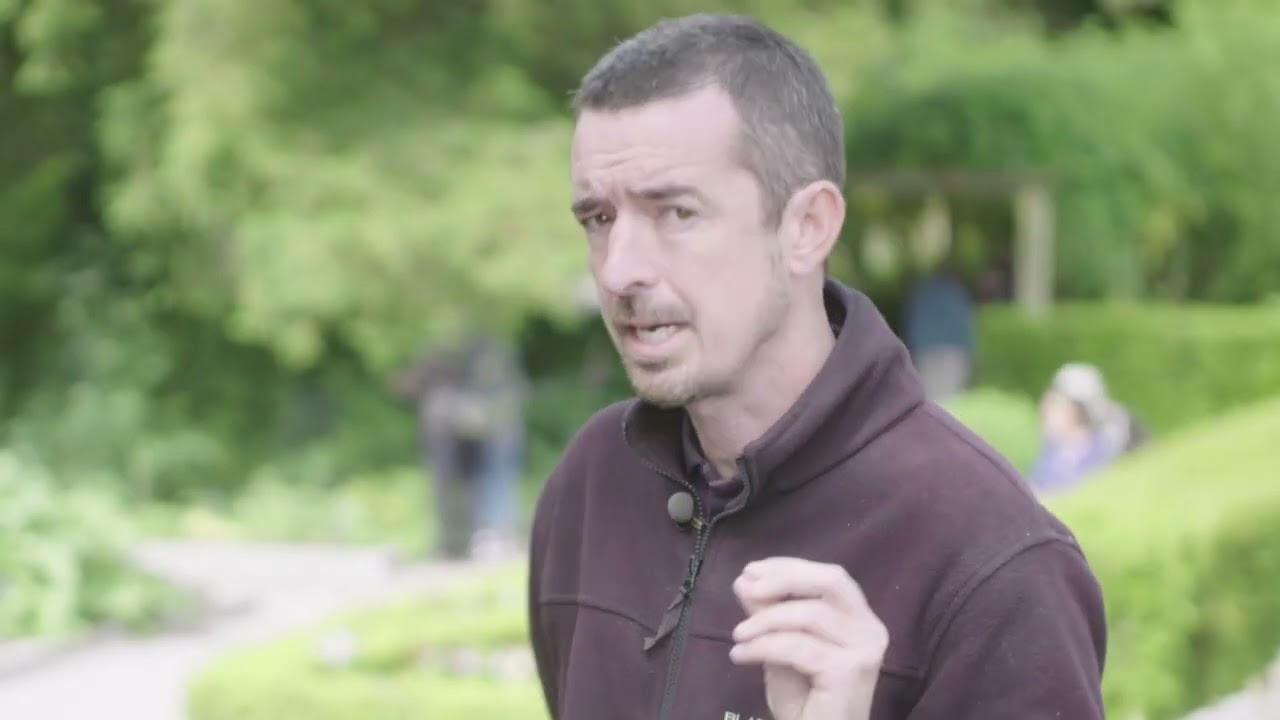 Blarney Castle & Gardens Promotional Video with Audio Description
