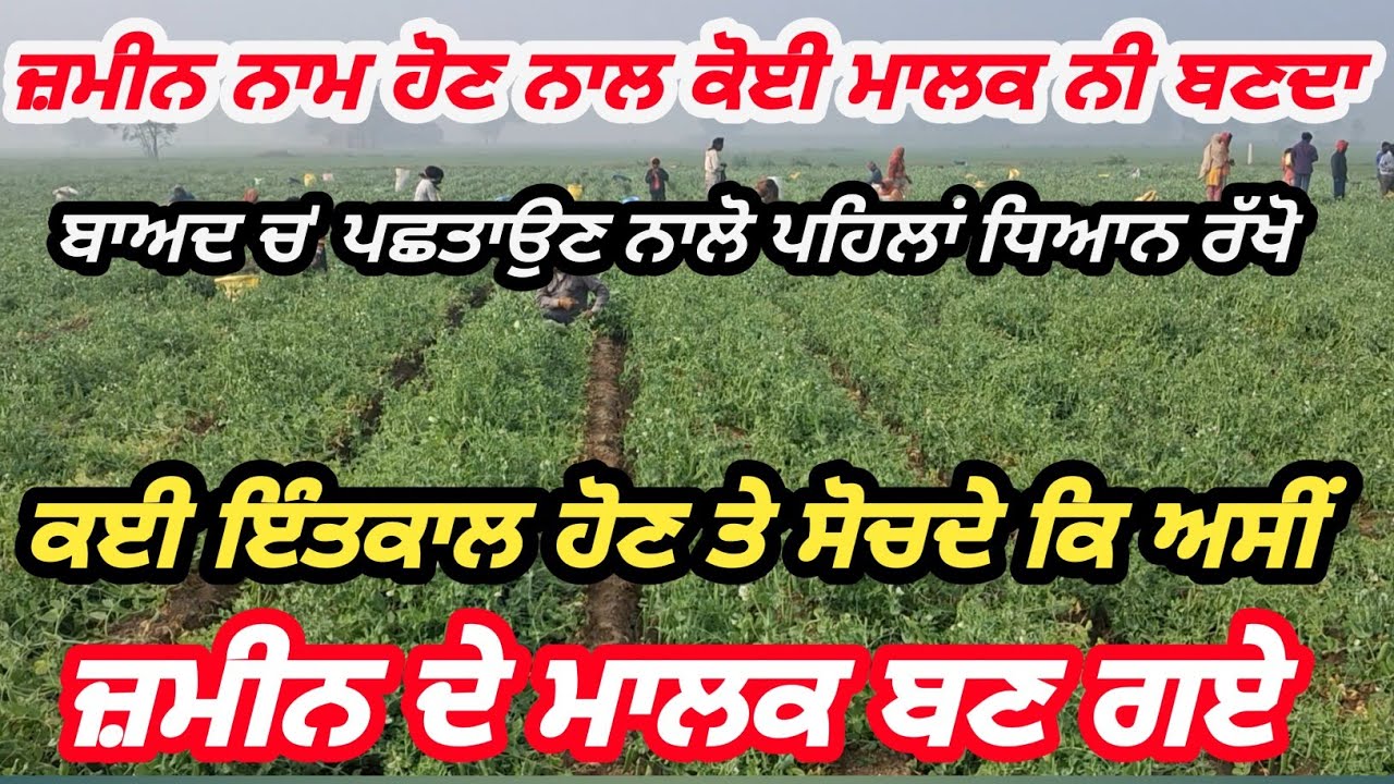 ਕਿਸੇ ਕਿੱਲੇ ਦੀ ਰਜਿਸਟਰੀ ਕਰਵਾਉਣ ਨਾਲ ਤੁਸੀਂ ਉਸ ਕਿੱਲੇ ਦੇ ਮਾਲਕ ਨੀ ਬਣ ਜਾਂਦੇ।