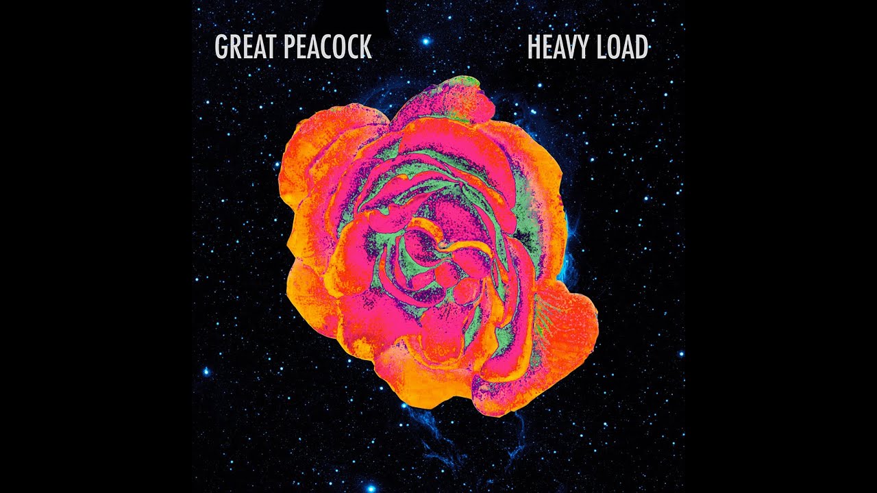Great Peacock - 