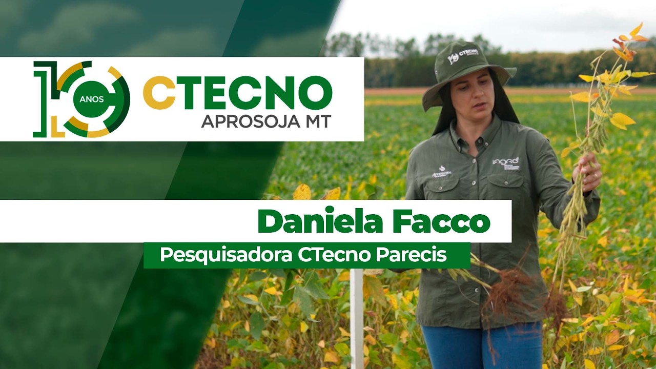 Porque a falta de fósforo pode impactar na produtividade das lavouras e quando aplicar de forma ef