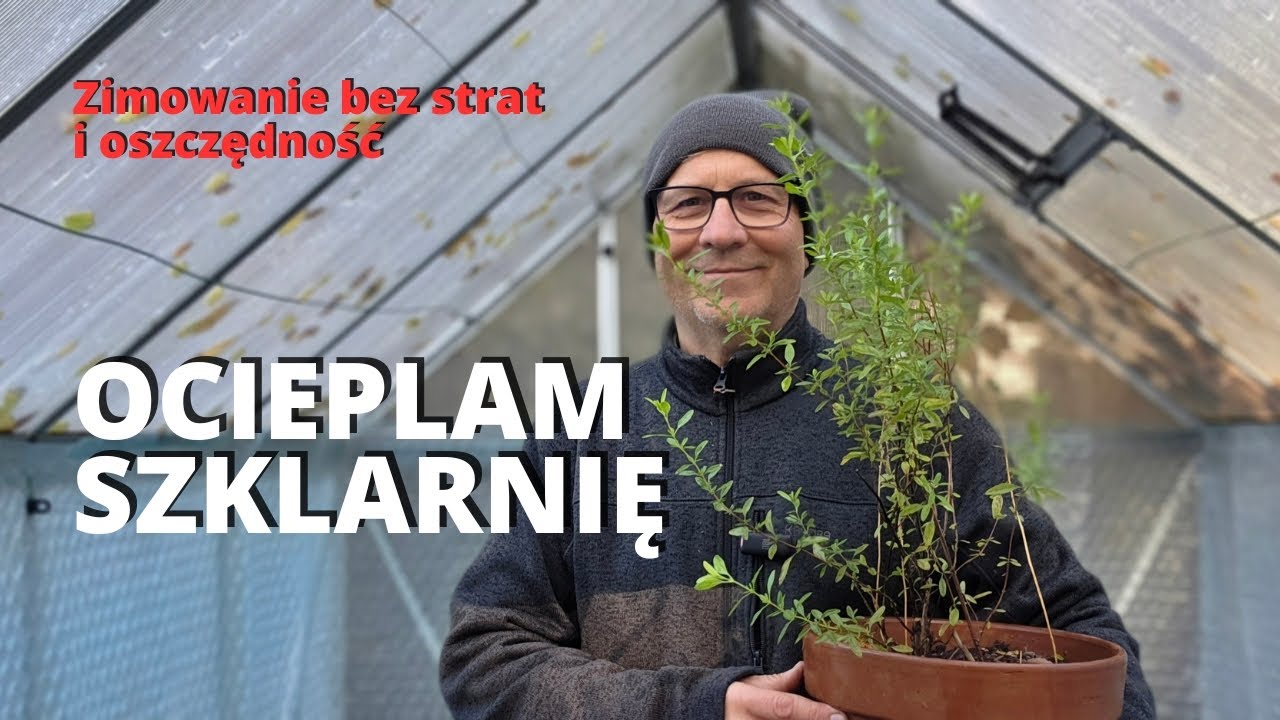 SZYBKI TriK na Oszczędność! Jak ocieplić szklarnię i zimować rośliny wrażliwe na mróz.