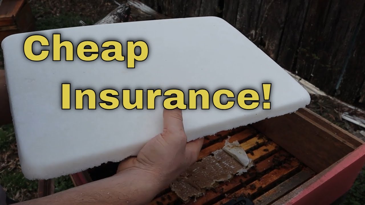 🔵Emergency Sugar Bricks in 3 Easy Steps