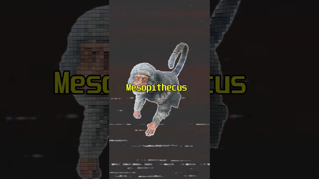 Ark Mesopithecus🐒