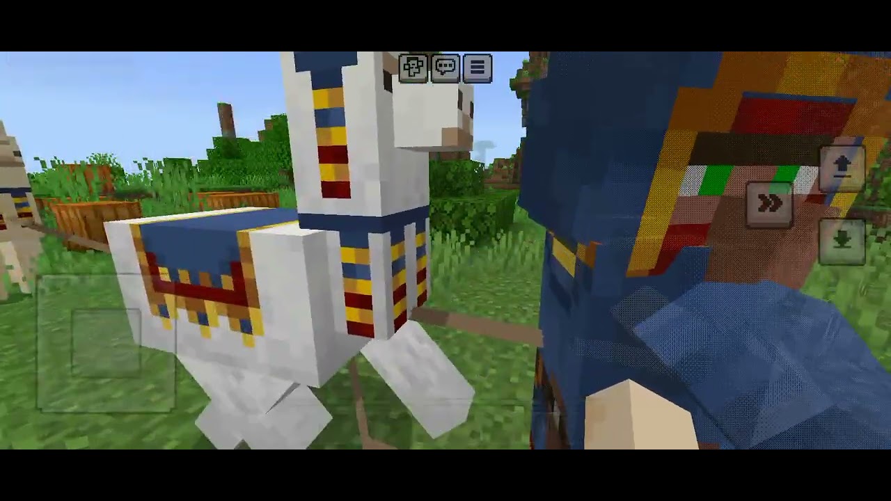 Minecraft video 