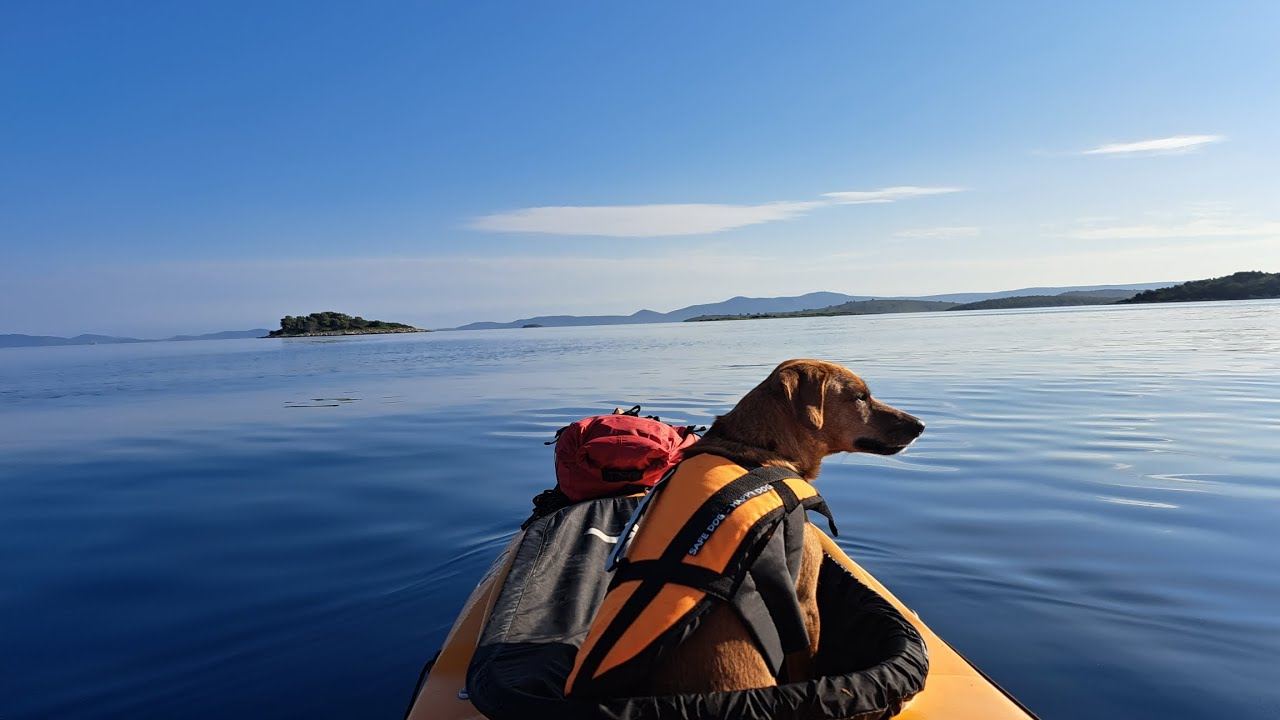 Dugi otok, Telašćica, Kornati, Kayaking with dog, July 2023