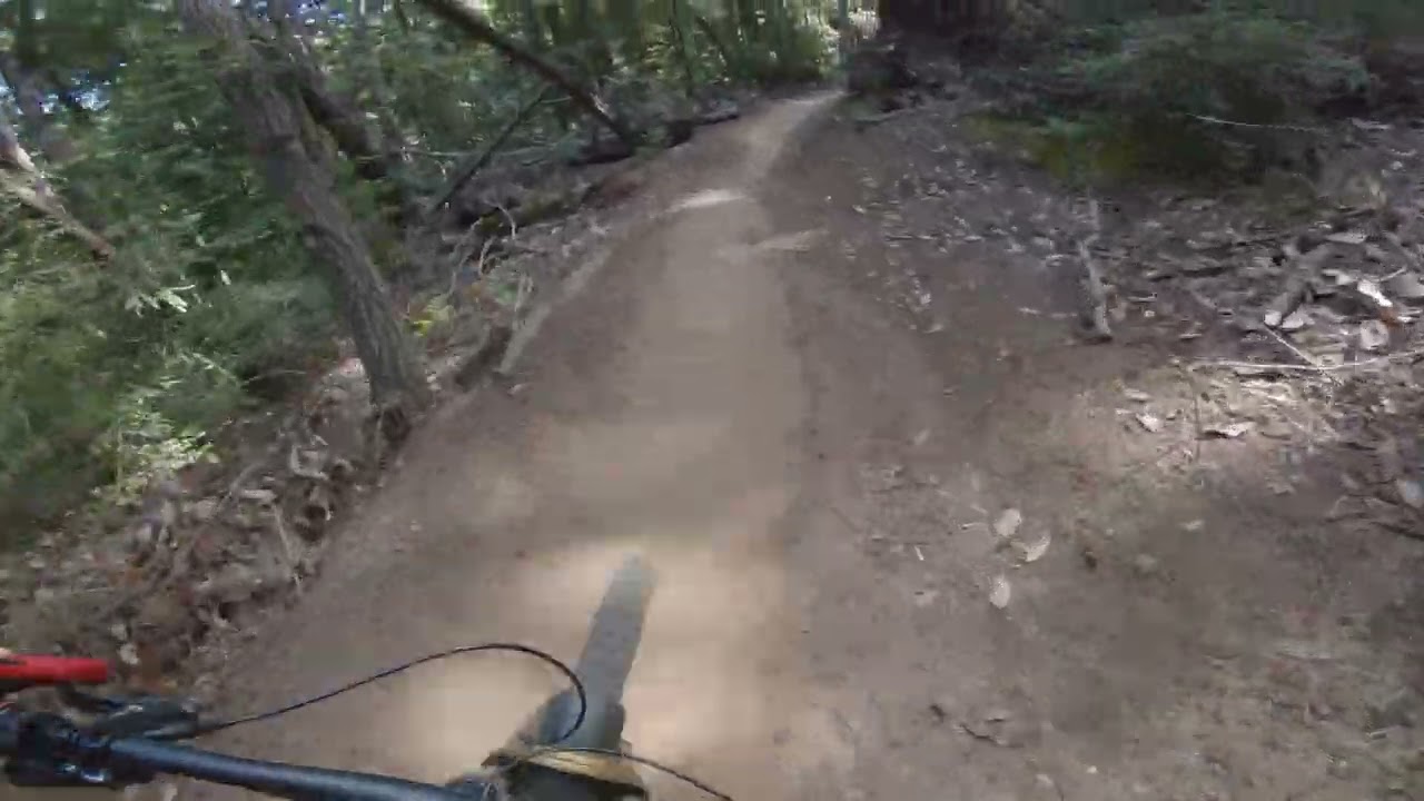 Demo Forest/Flow Trail/ Segment 1-3