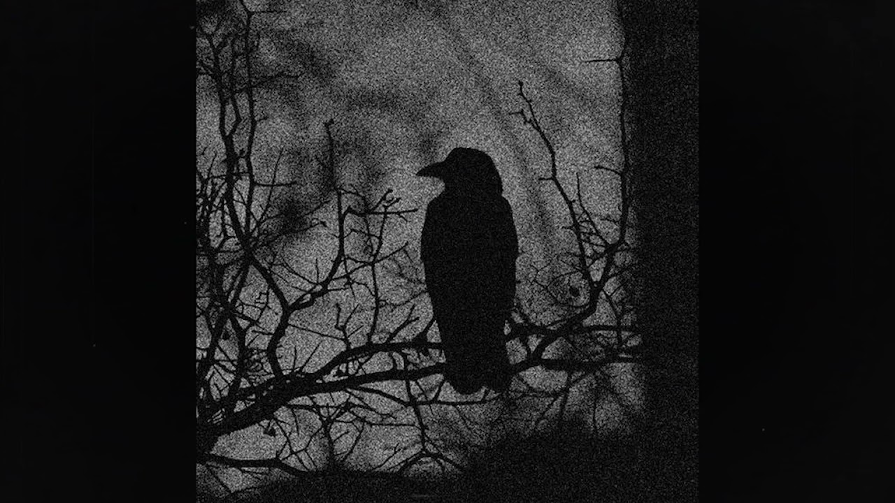 (sold) post punk + new wave + darkwave + lebanon hanover type beat ~ "vultures" (prod. grayskies)