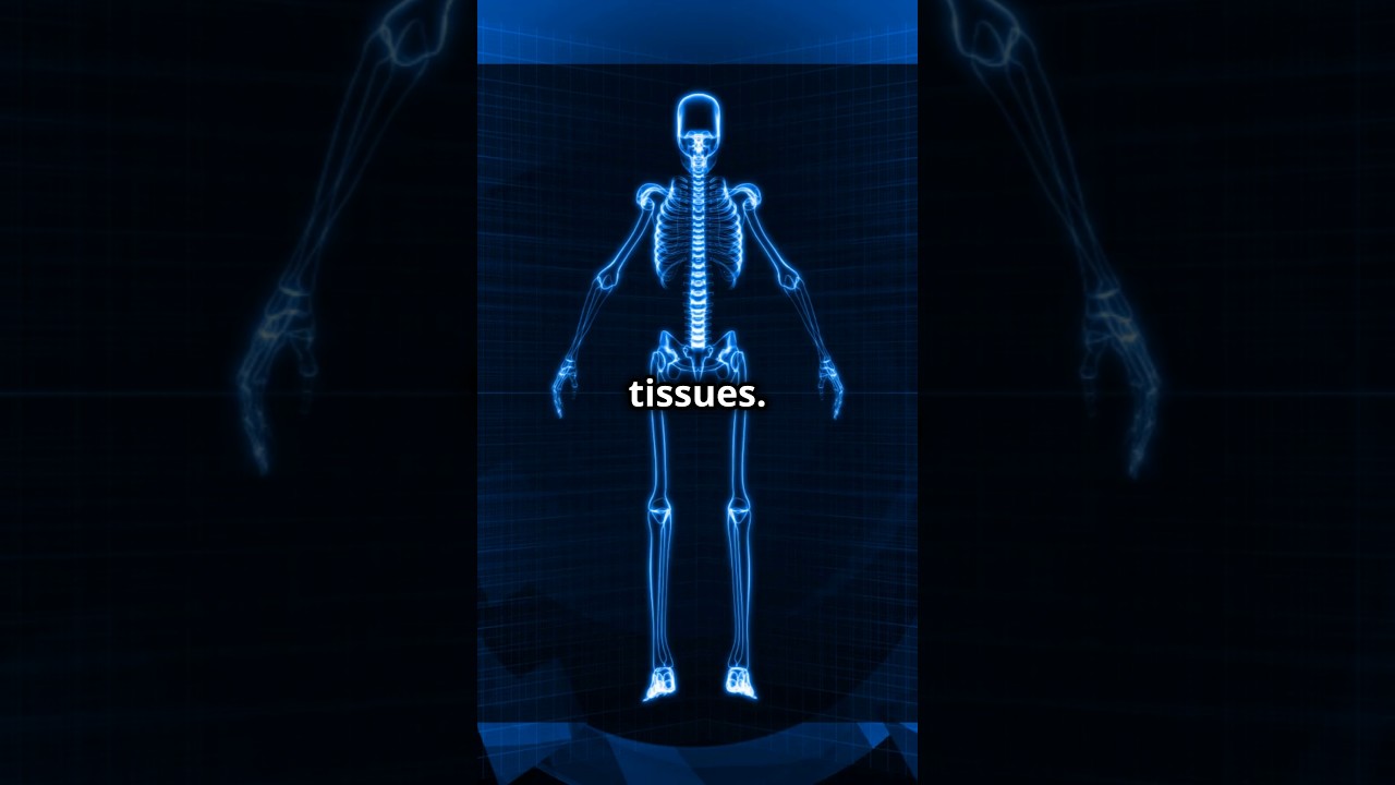 How X-Ray Machines Work ✨
