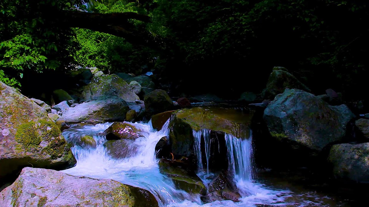 Deep Sleep Water Therapy | Continuous River Sounds for Calm Nights