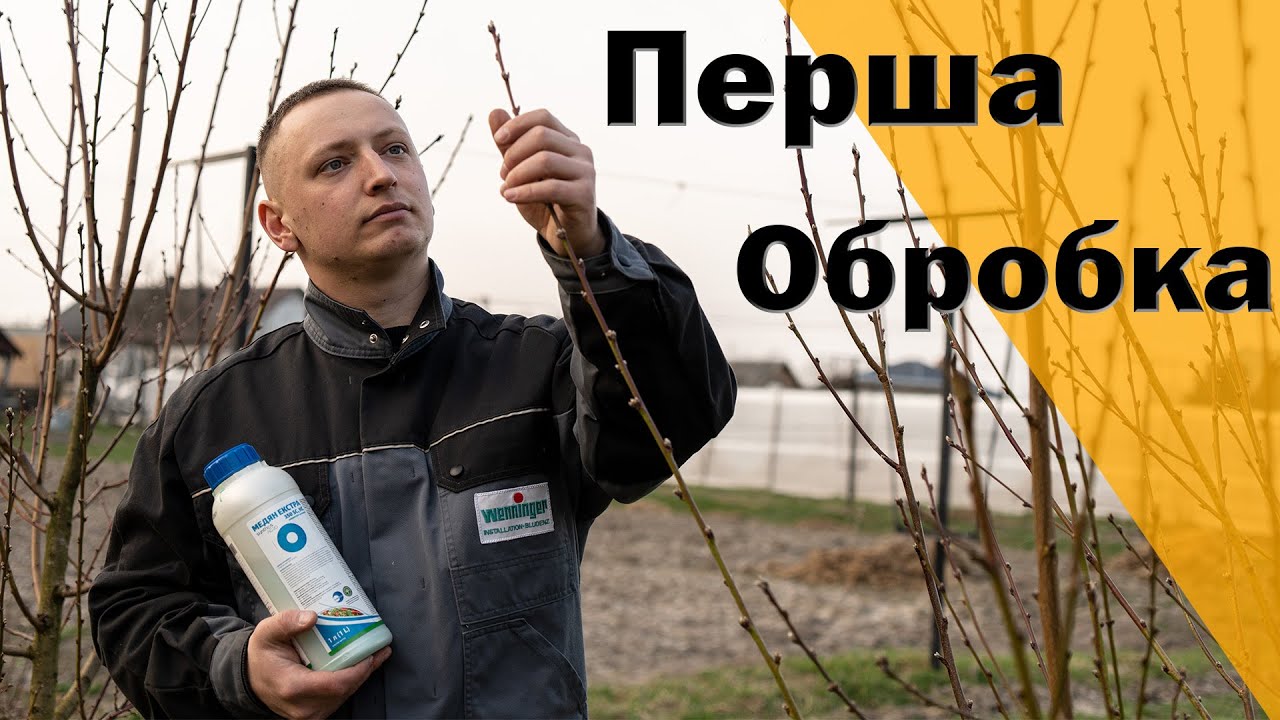 Перша обробка саду. Медян Екстра для викорінюючої обробки ранньою весною. Кучерявість персика. Мідь