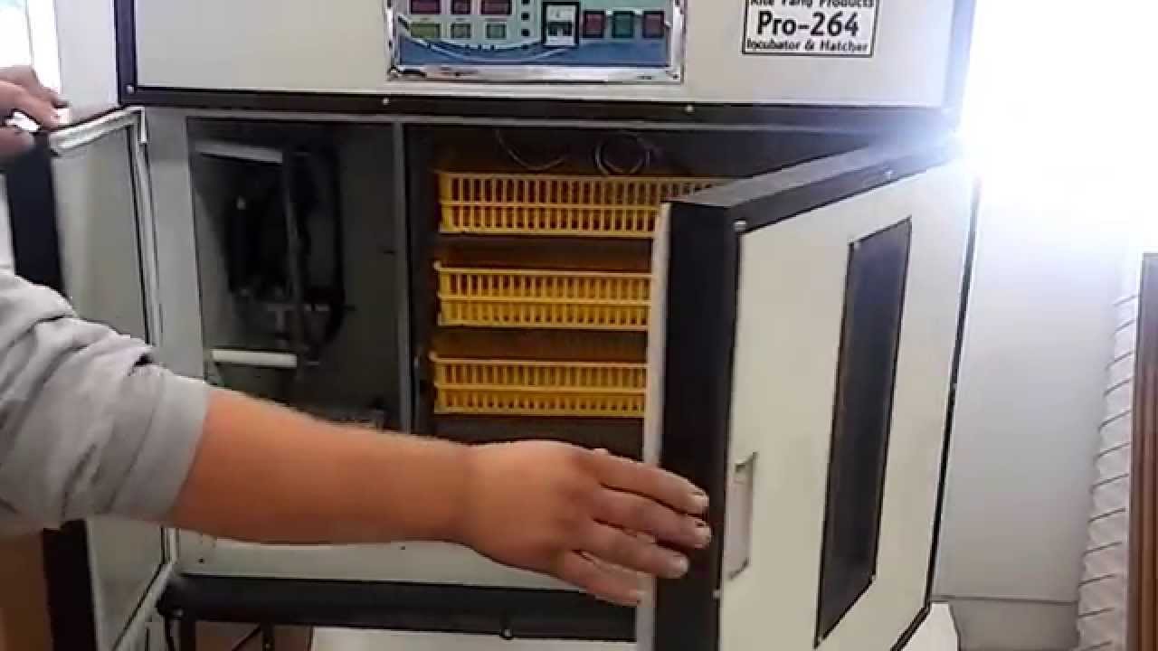 Rite Farm Products Pro Cabinet Incubator Startup Instructions