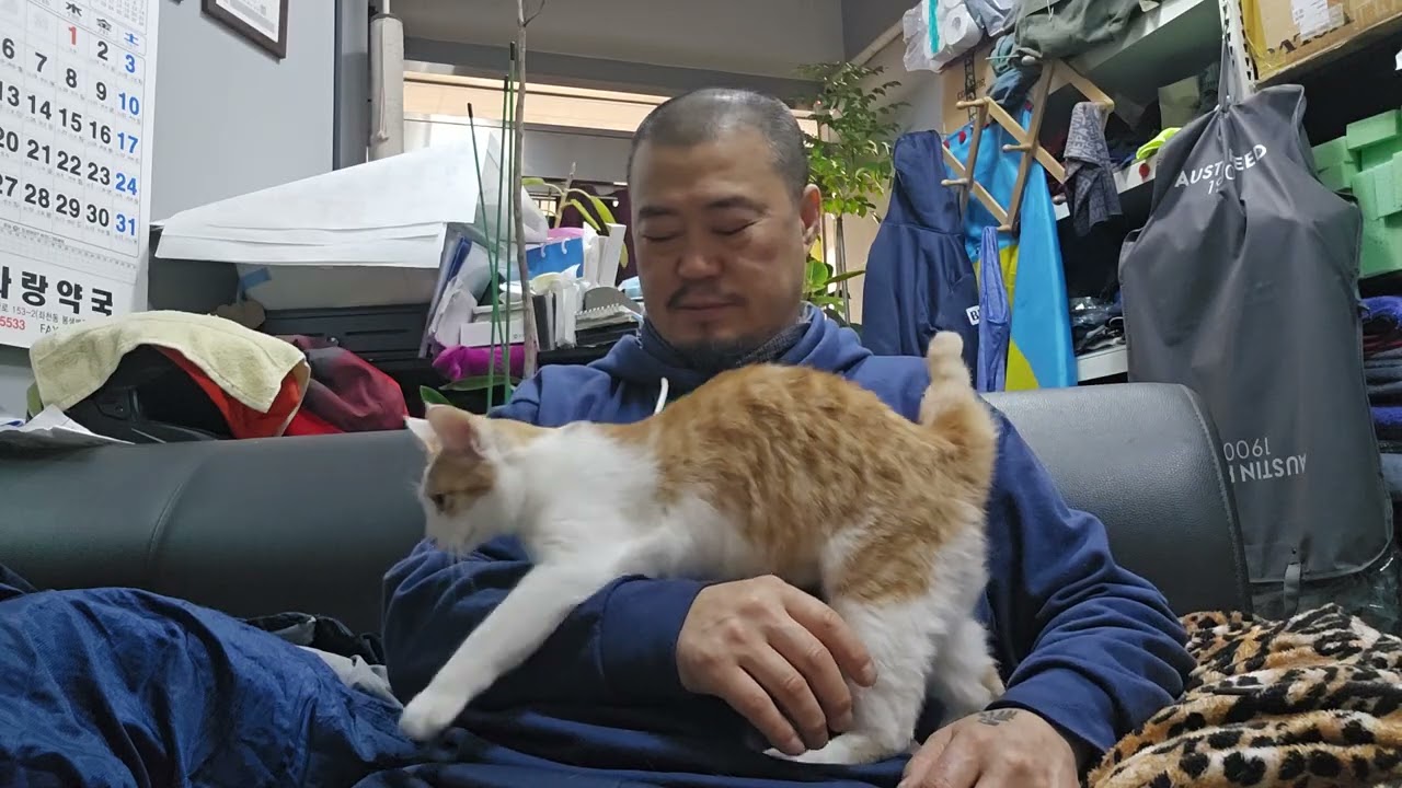 내이름은 김 똑순 냥이 ep-23. 심신이 지친 빠빠집사의 피로회복은 김 똑순냥이와의 교감이랍니다. #길고양이와의 동거 #행복한 집사 #고양이사랑 #반려묘 #cat lover 