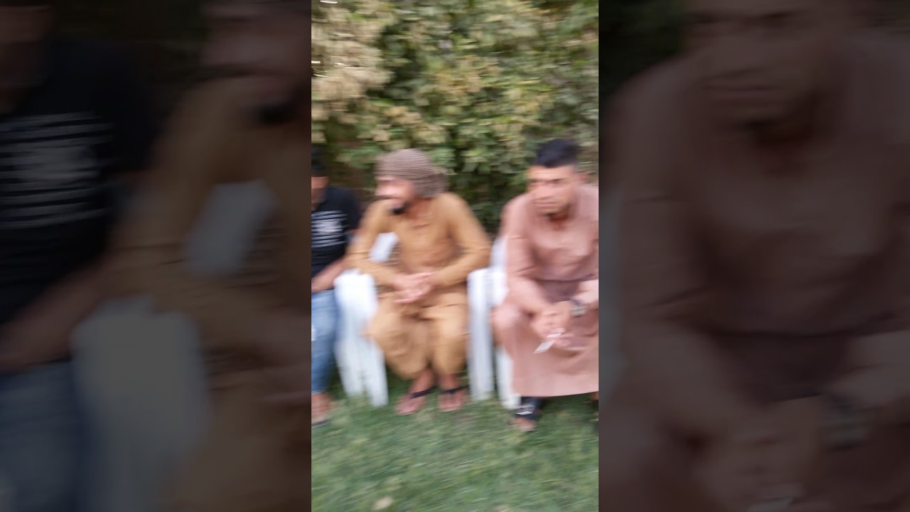 الفنان عباس الرحال قرية الزركانيه