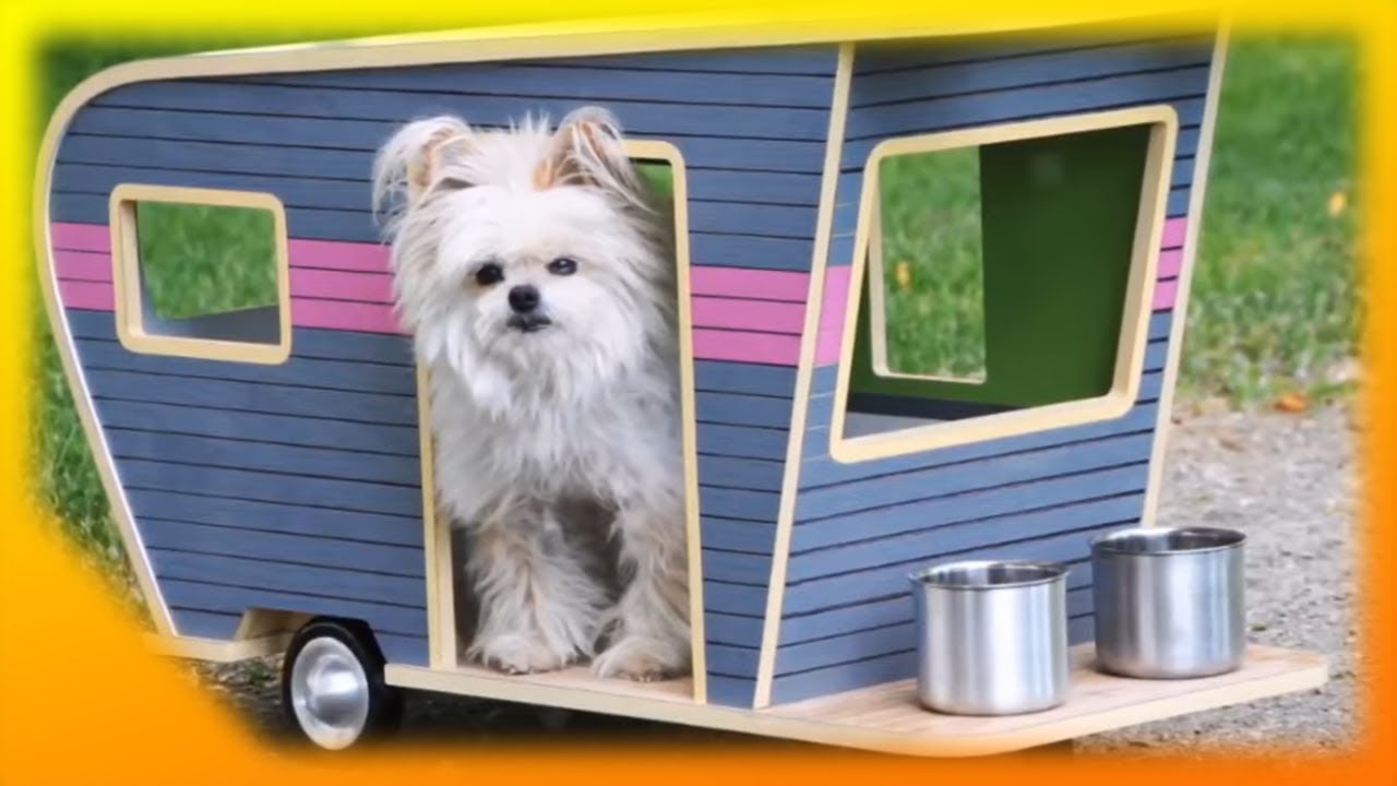 100 ideias lindas de CASA de CACHORRO - s&oacute; ideias legais