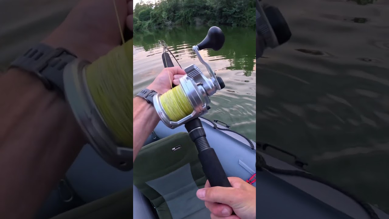🔥🎣 Ultimate Guide: Best Live Bait for Catching Monster Catfish💪🏻 #fishing #catfishing #catfish
