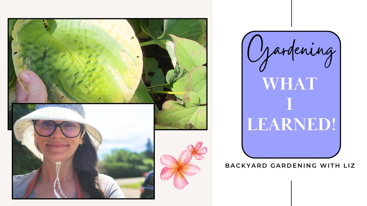 21 Things I've LEARNED During the 2025 Gardening Season - My Take (Gardening Journey Episode 31)