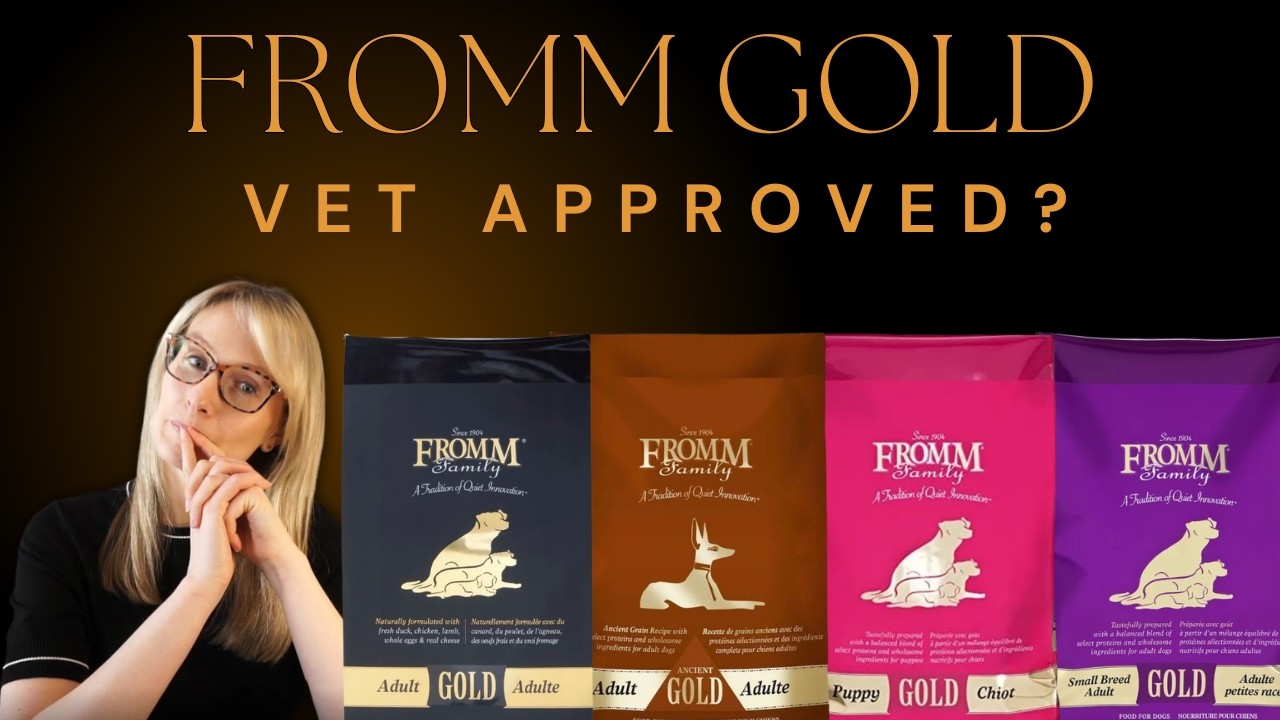 FROMM Gold Review: Is It Truly Gold Standard? (Vet Analysis)