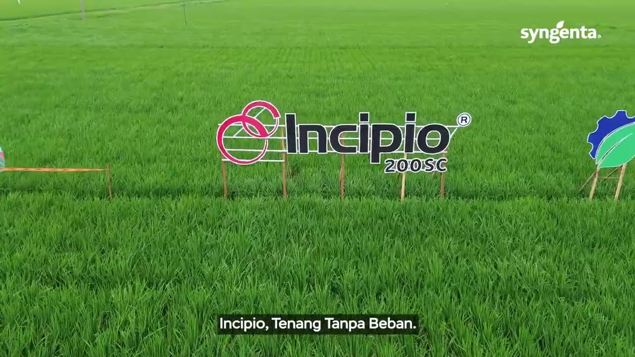 Highlight Expo Incipio Indramayu