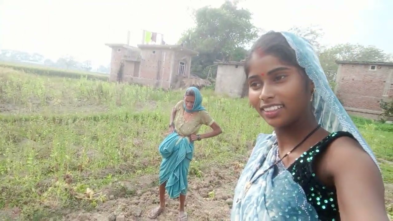 हमारे खेत में आलू खुदाई हो रही है
