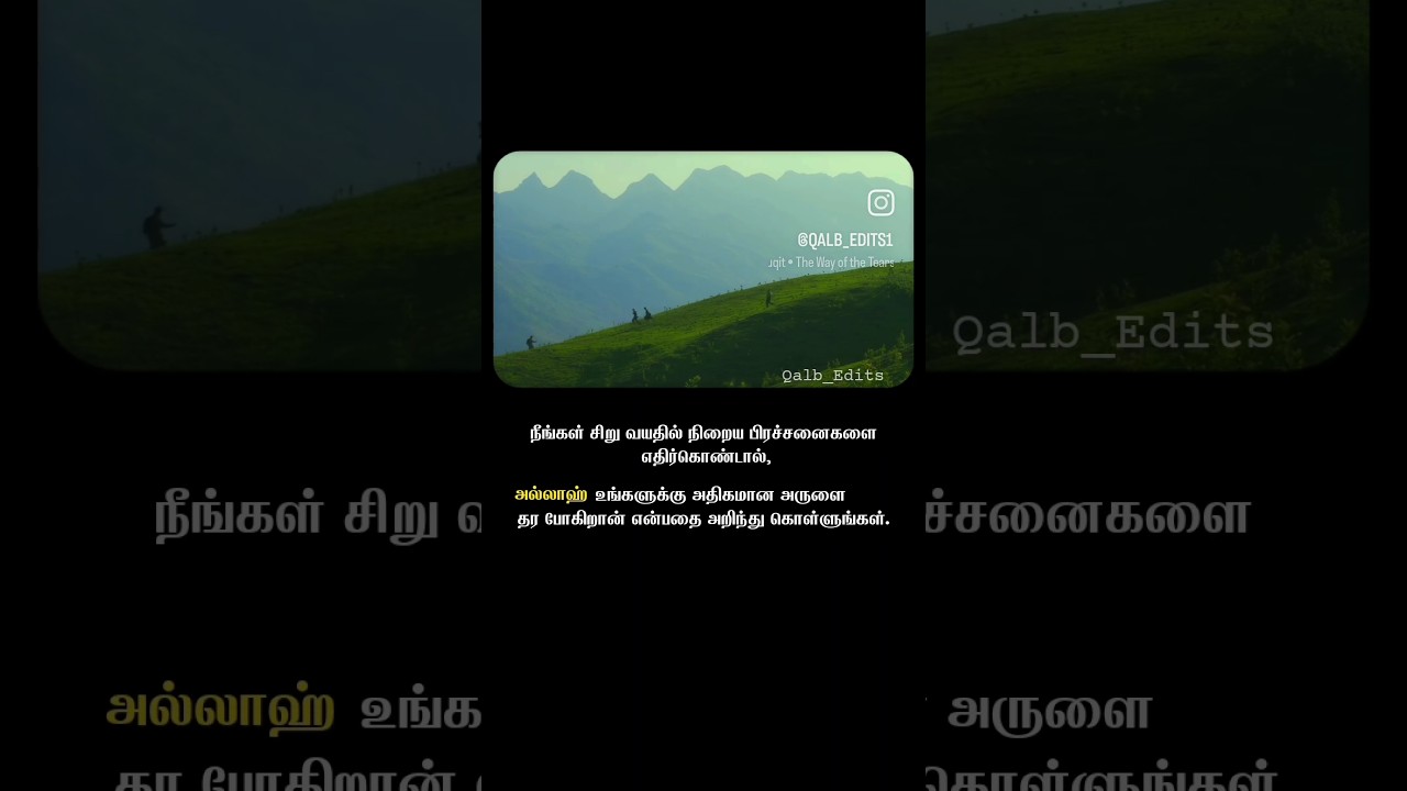 Tamil islamic Quotes ❤️ #alhamdulillah #shortsfeed #islamicreminder #shorts