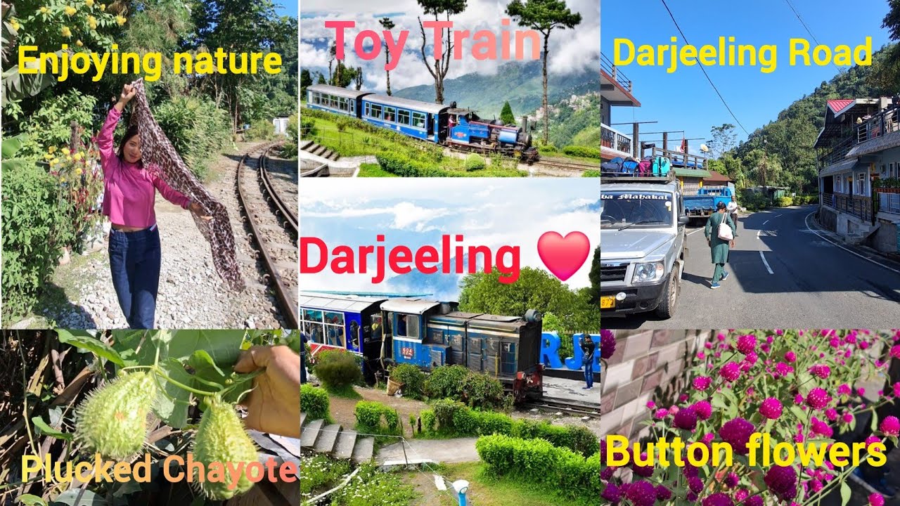 NJP to Darjeeling by Road / How to go Darjeeling From NJP😯🫨🤔?? Darjeeling vlog / North Bengal