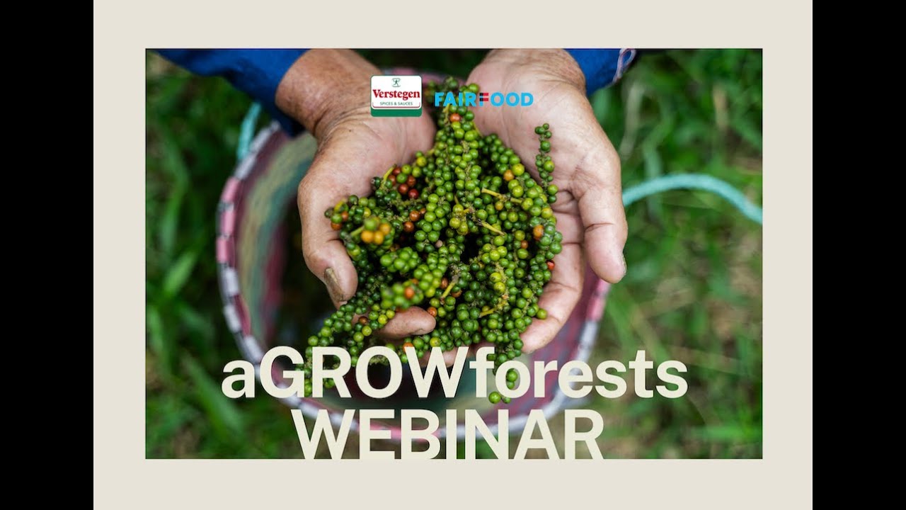 Launching aGROWforests: webinar