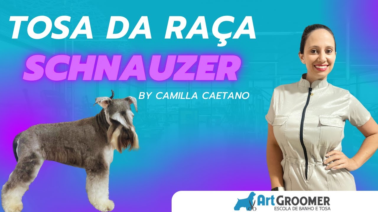 Tosa da Raça Schnauzer