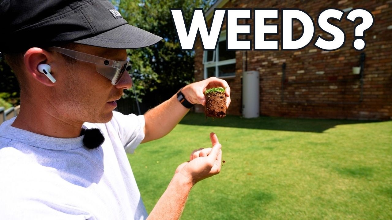 Ситуация ухудшается // Помощь при проблемах с марихуаной