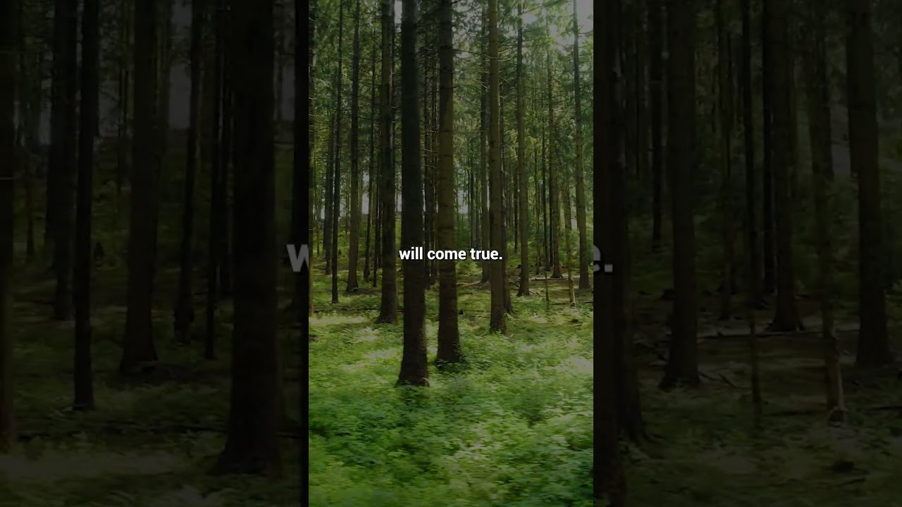 Sometimes it's hard ..